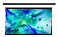 ViewScreen Roper  (16:9) 544*308 ( 531*298) PW, black casing (с пультом)